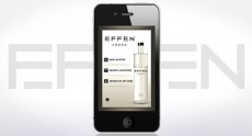 EFFEN Integrated Campaign Case Study